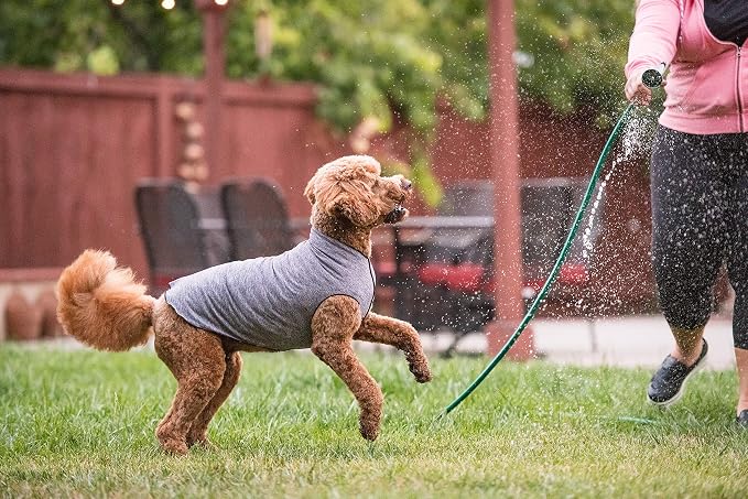 Gold Paw Sun Shield Dog Tee – T-Shirt for Canines – UV Protection, Pet Anxiety Relief, Wound Care – Protects Against Foxtails, Aids Alopecia - Machine Washable, All Season – Size 2 – Grey