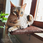 Cozy Window Cat Bed - 12.5x16in Washable, Perfect for Window Sill - Kitten & Cat Accessory