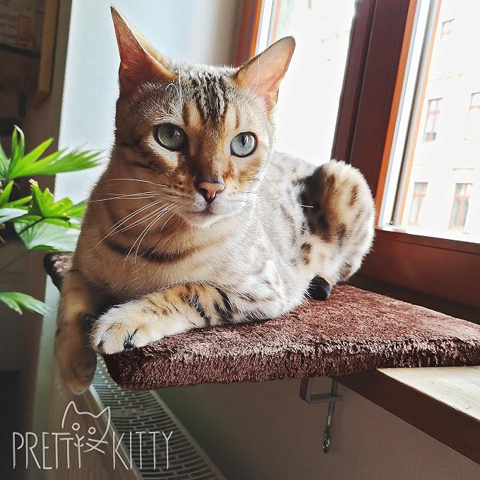 Cozy Window Cat Bed - 12.5x16in Washable, Perfect for Window Sill - Kitten & Cat Accessory