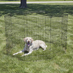 New World by MidWest Homes for Pets 42-Inch Exercise Pen, for Indoor and Outdoor use, 16 Sq Feet of Play, Folding Dog Pen, No Door Design for Maximum Security, Easy to Set Up, Foldable Pet Playpen