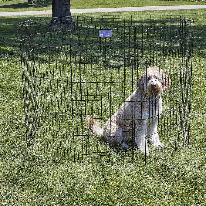 MidWest Homes for Pets 48-Inch Exercise Pen, for Indoor and Outdoor Use, 16 Sq Feet of Play, Single Door Folding Dog Pen, with Large Door Opening & Secure Latch, Easy to Set Up, Foldable Dog Playpen