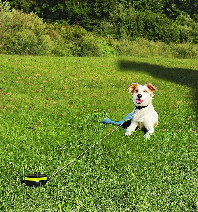 Lixit® Bracket Mount and Stake Retractable Leash Tie Outs for Dogs (Small (Pack of 1), Stake)